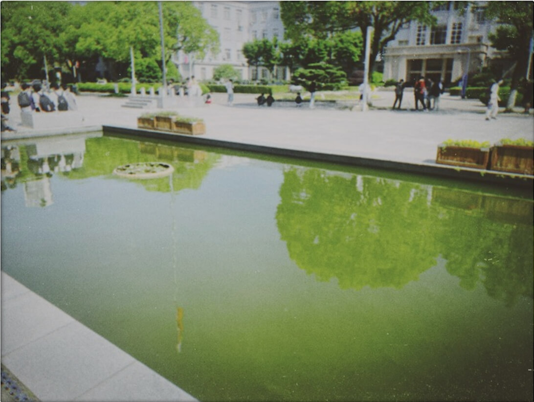 大学的池塘 随手一拍📷